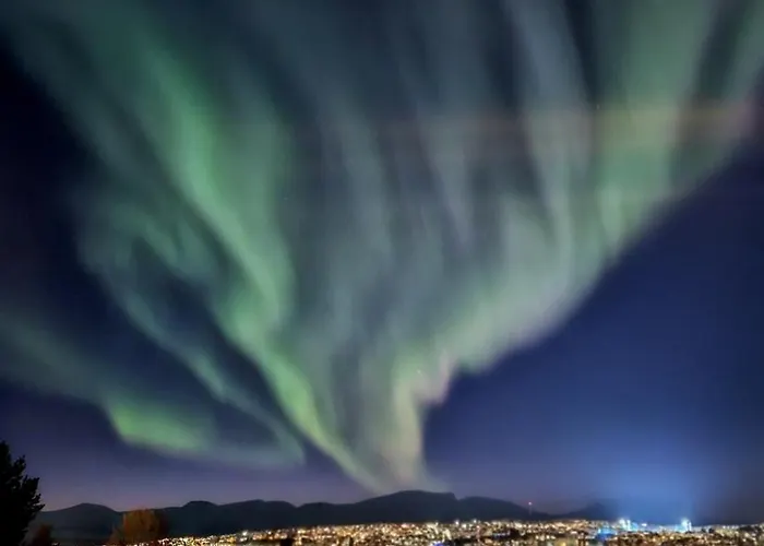 Modern With A Great View, Ice Bath And Fitness *